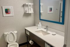 Windsor-Guest-Bath-1